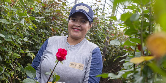 Rosen zum Muttertag: Achten Sie auf das FAIRTRADE-Siegel!